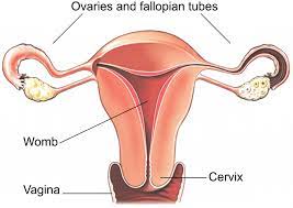 Best And No.1 Laparoscopic Surgery Hospital In Jalandhar 2023