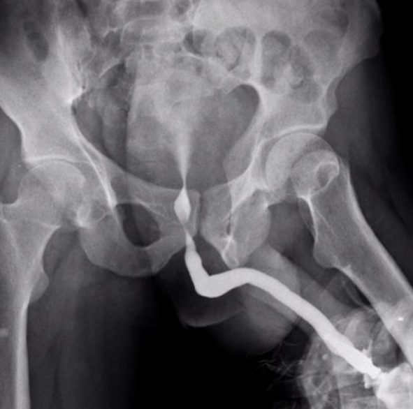 No.1 & Best Radiology Treatment Hospital In Jalandhar 2023